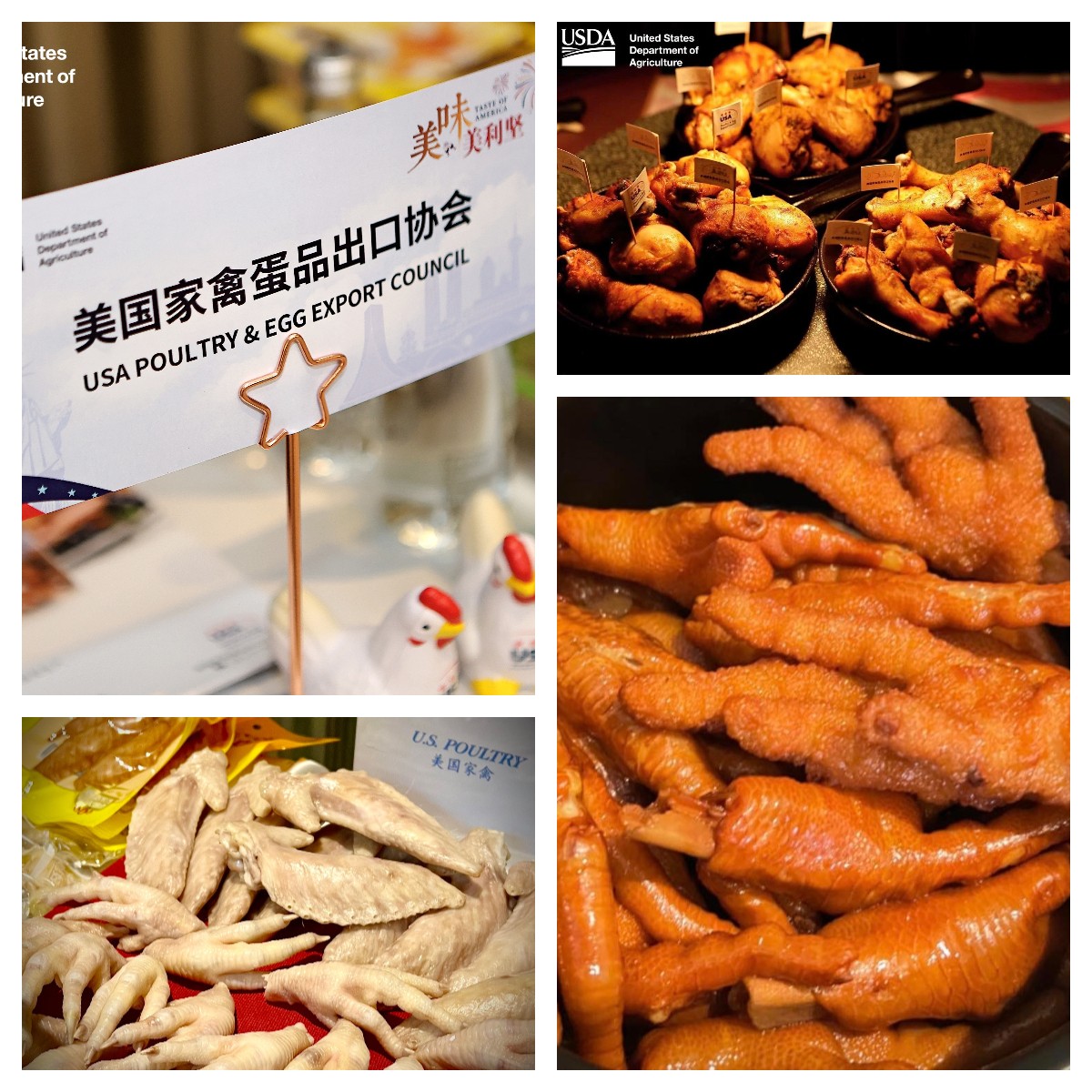 下载 (1).jpg